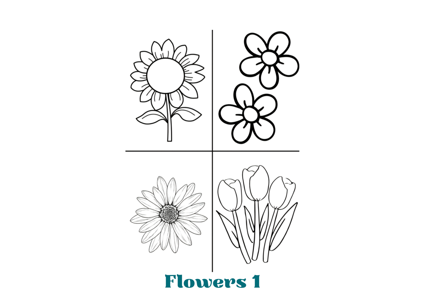 Magnetic Colouring Packs